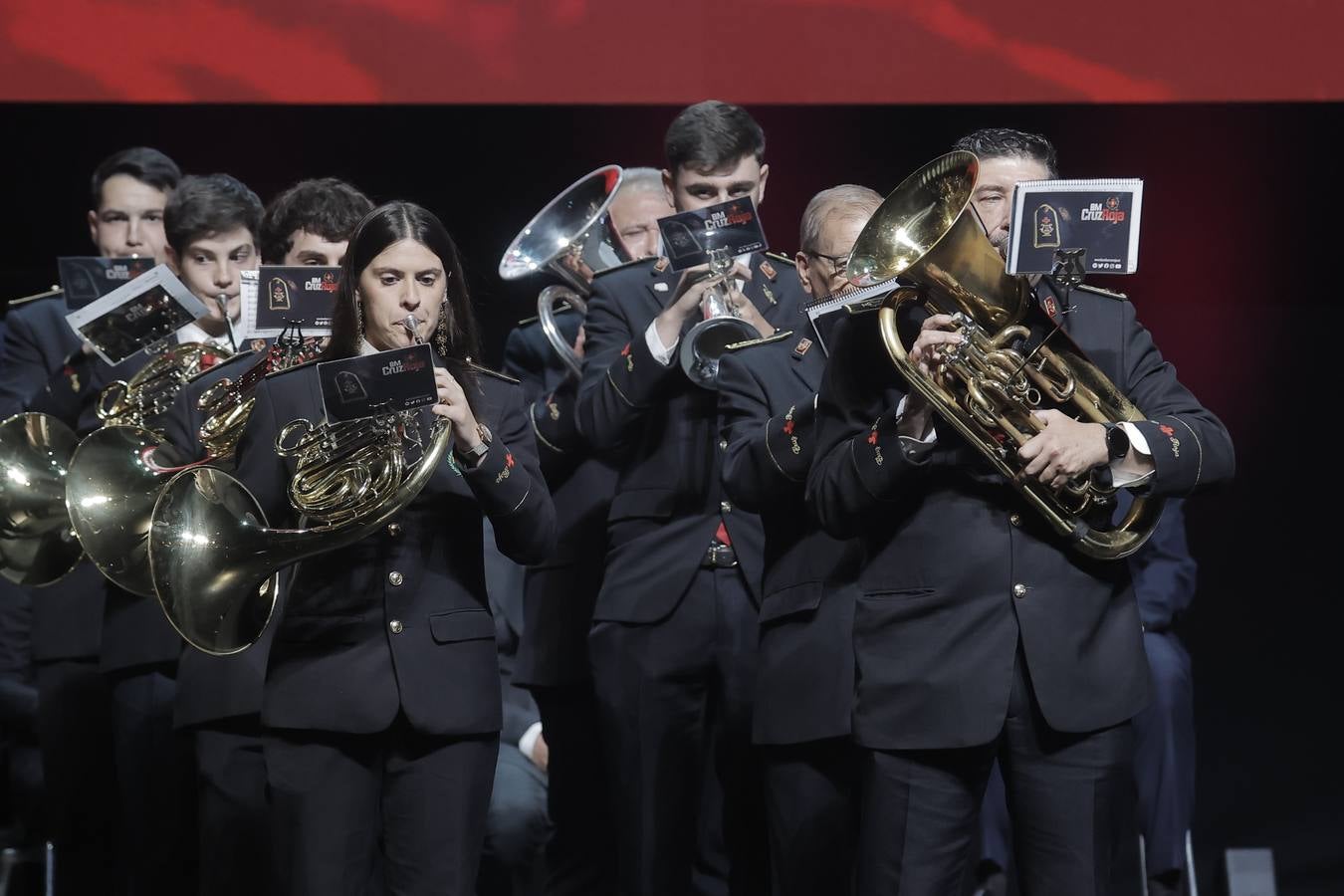 Fibes acogió este jueves las entregas de las Medallas de la Ciudad de Sevilla 2024