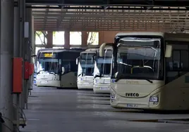 Ocho pueblos de Sevilla piden estar en el nuevo Plan de Transporte Metropolitano