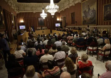 Numeroso público siguió este viernes el Pleno extraordinario del Ayuntamiento de Sevilla