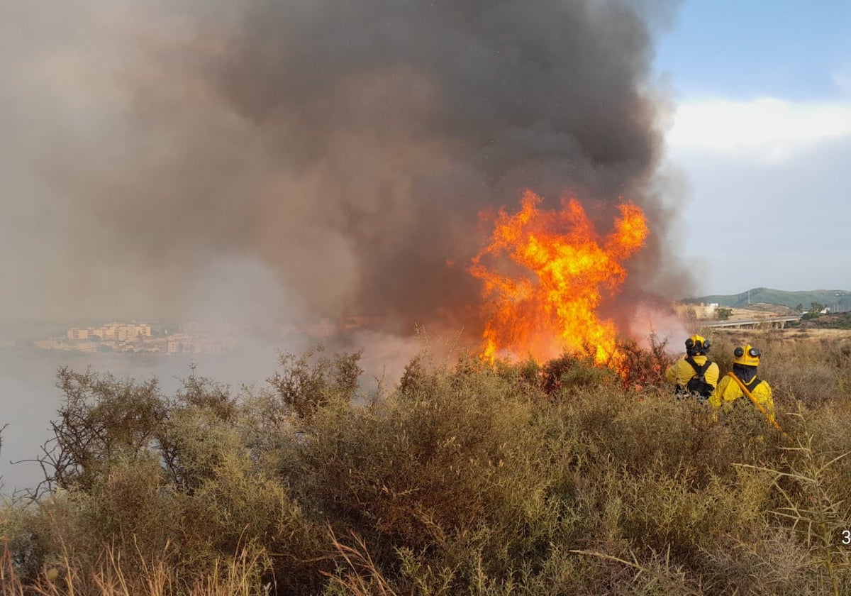 Bomberos forestales sofocando el incendio de la finca El Encinar de Alanís