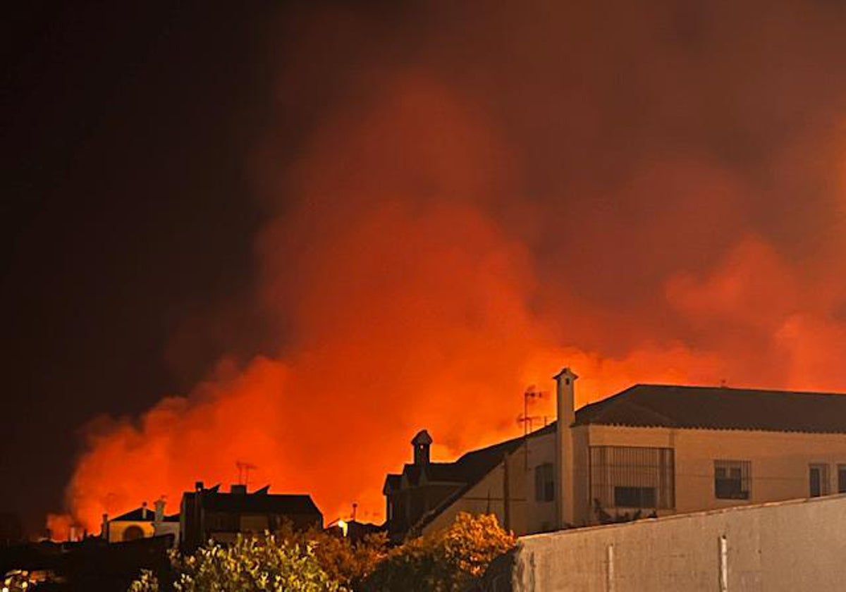 Incendio declarado el pasado 10 de junio en la zona de Lugar Nuevo