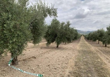 Los dos muertos en el accidente de avioneta de Córdoba eran vecinos de Palomares