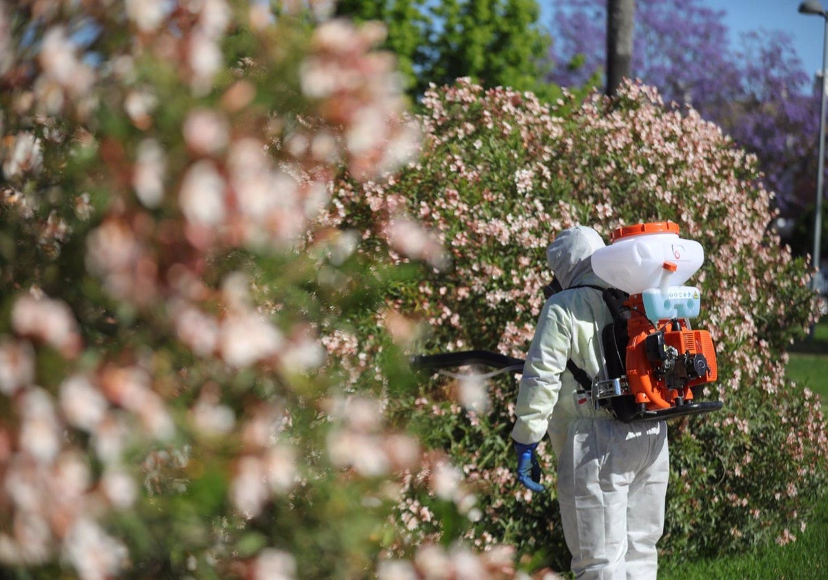 Un operario realiza las labores de fumigación para prevenir el Virus del Nilo