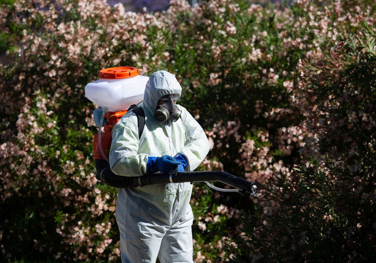 Tareas de fumigación de mosquitos en una zona ajardinada de Coria del Río