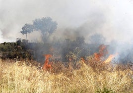 En imágenes, incendio y espectacular humareda junto a la Cartuja