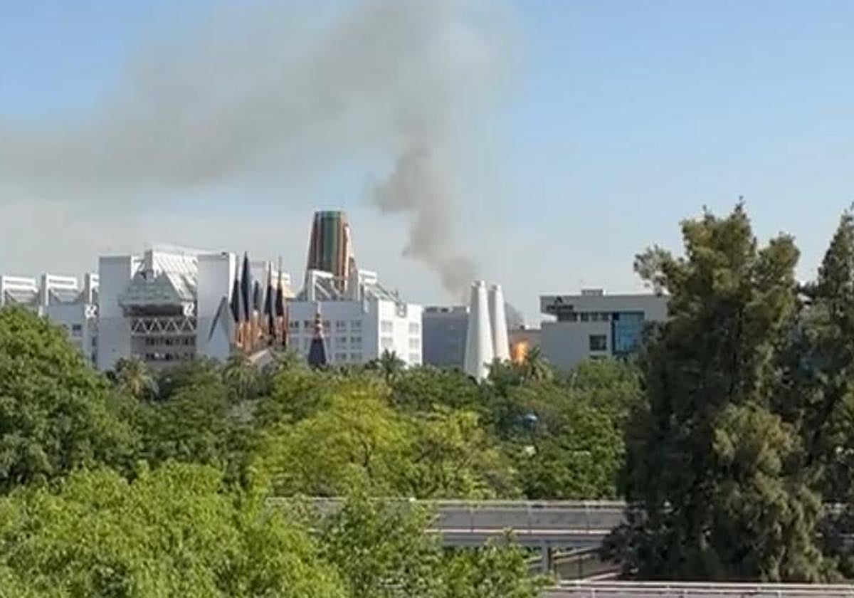 Un incendio de pastos provoca una inmensa columna de humo en la isla de ...