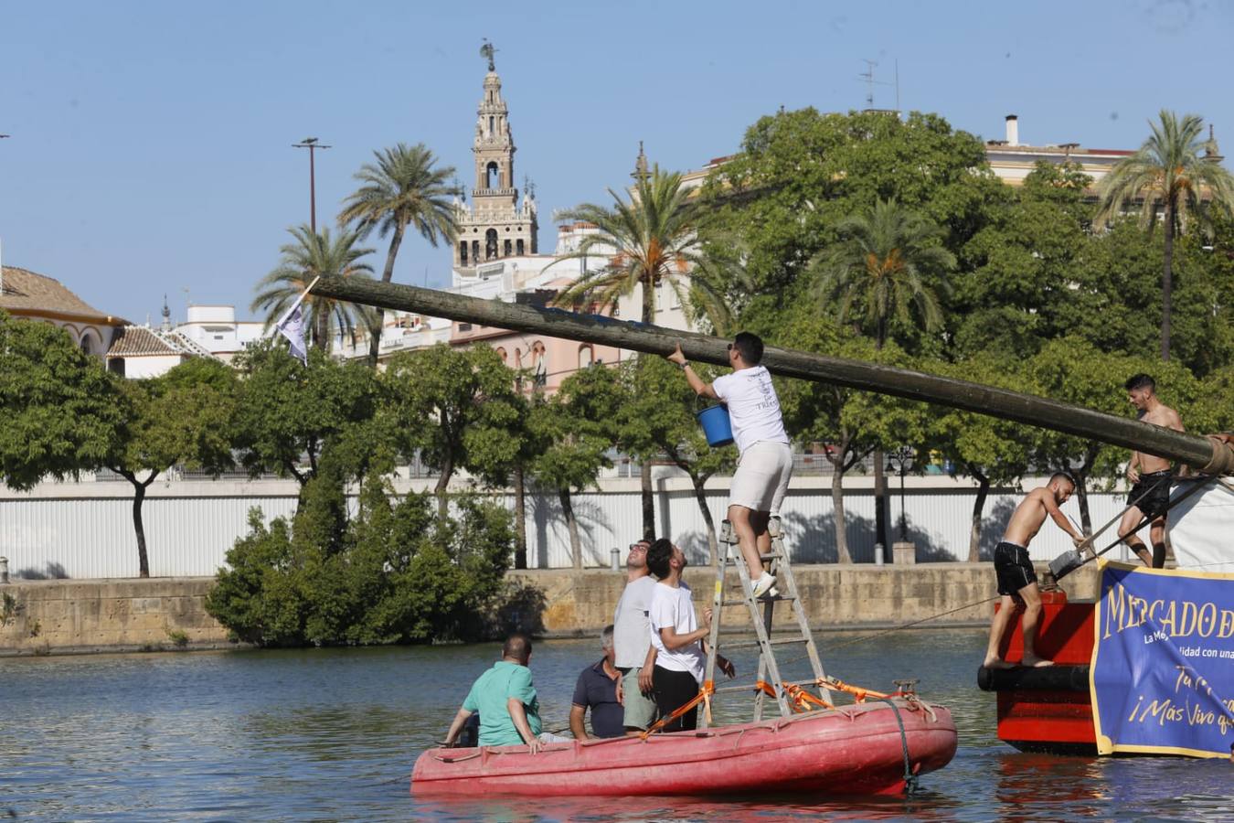 Momentos emocionantes se han vivido esta tarde en el juego de la cucaña
