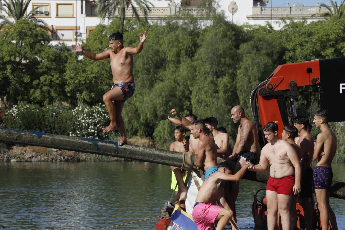 Momentos emocionantes se han vivido esta tarde en el juego de la cucaña