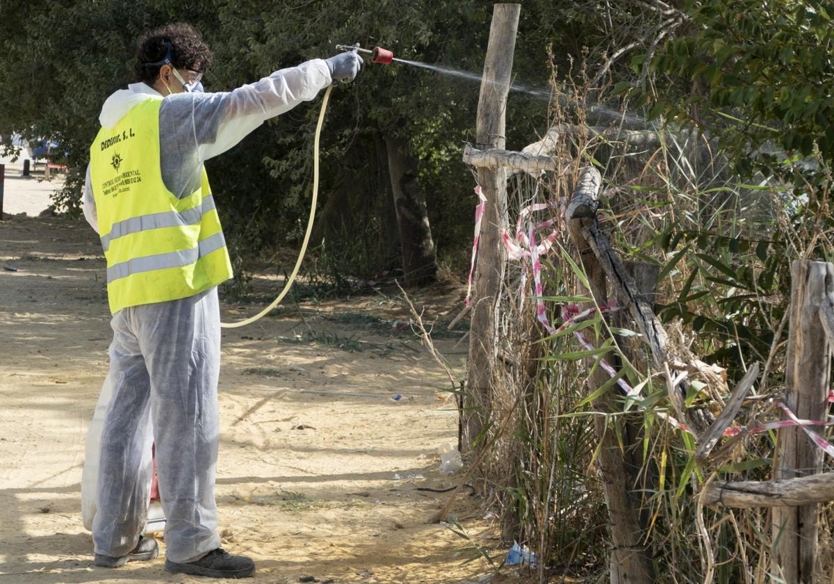 Tareas de fumigación que se llevaban a cabo el pasado sábado en la Puebla del Río