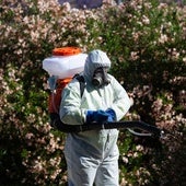 La Diputación de Sevilla inicia la fumigación contra el virus del Nilo en 13 municipios afectados