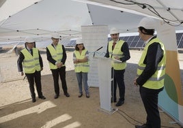 Endesa inaugura una planta solar de 90 megavatios en el Aljarafe