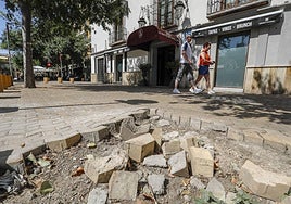 Imágenes del estado actual de la Alameda de Hércules de Sevilla