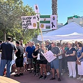 Convocan en Coria del Río una nueva movilización en demanda de soluciones frente a los mosquitos del virus del Nilo