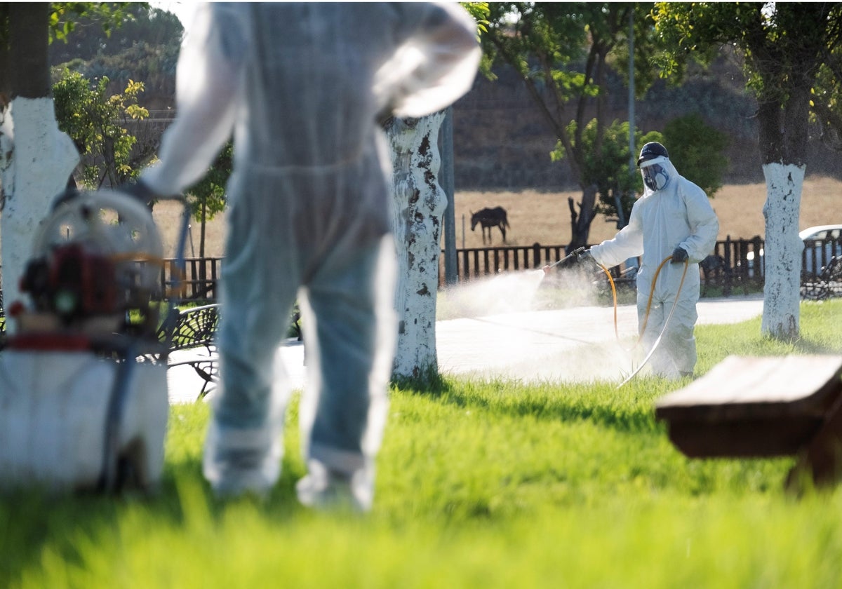 Dos operarios fumigan en una zona afectada en Coria del Río