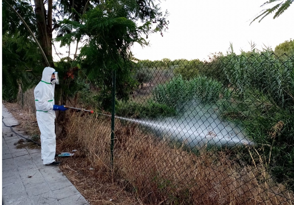 Un operario fumiga unos jardines en una localidad sevillana