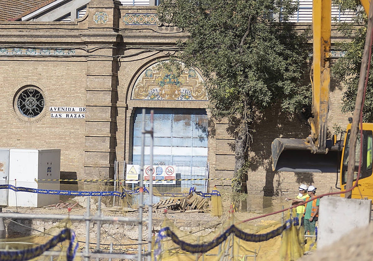 Imagen de las obras en la avenida de Las Razas