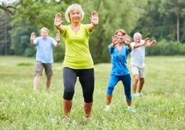 Desde Fitness Flamenco a Taichi o Tiffany y vidriera, los peculiares talleres socioculturales disponibles en Sevilla