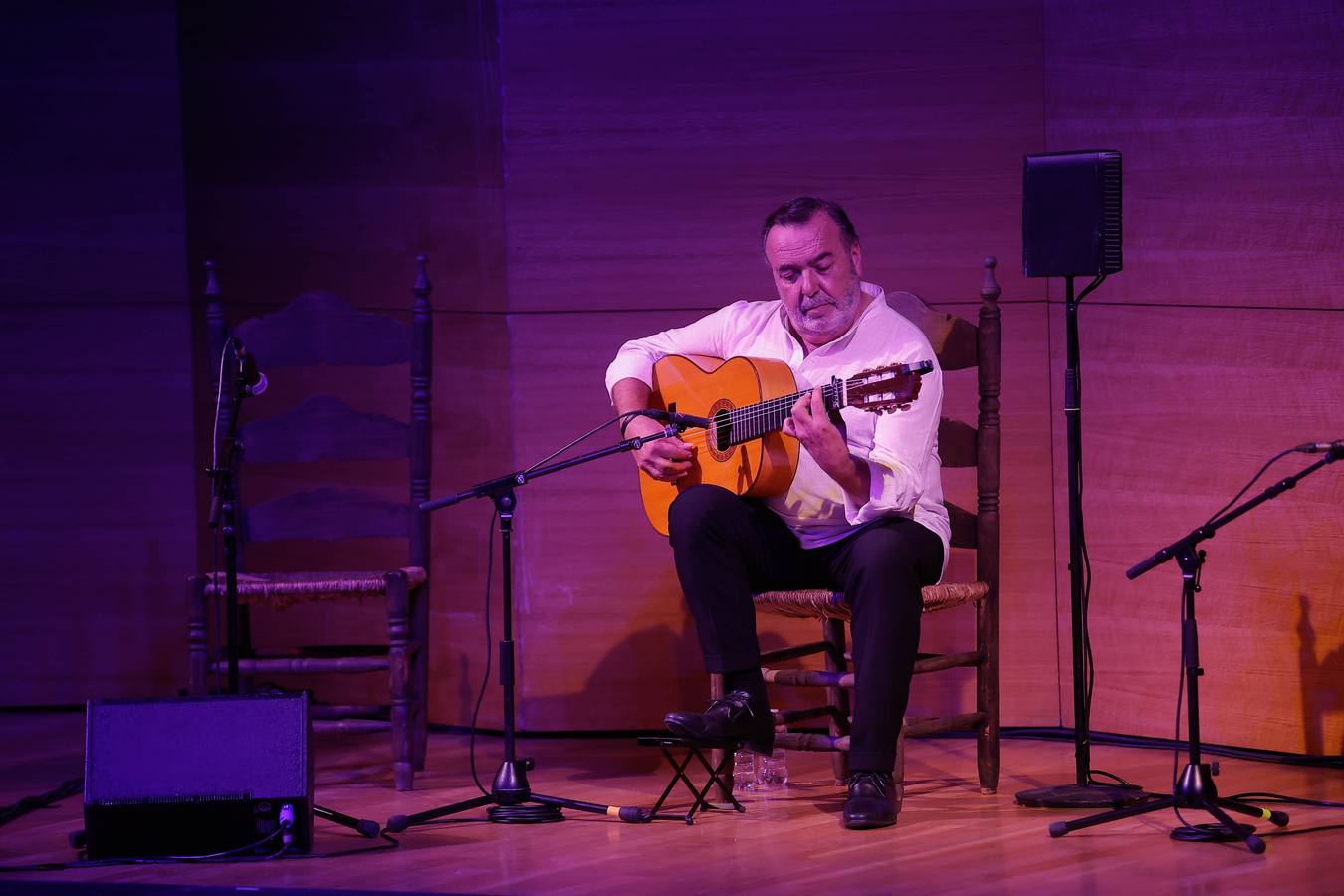 Manolo Franco recibió el calor de un público entregado a los sonidos de su guitarra
