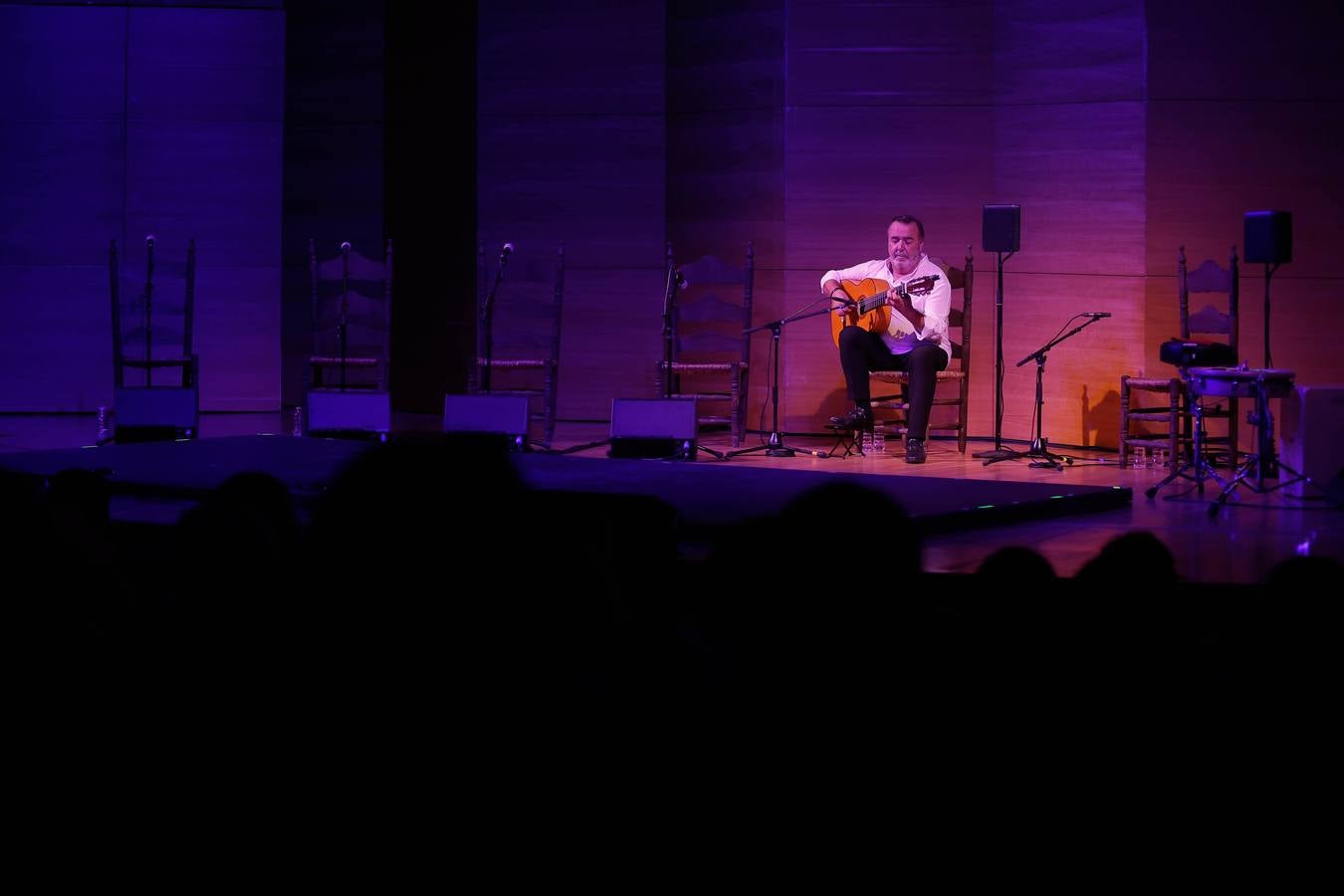 Manolo Franco recibió el calor de un público entregado a los sonidos de su guitarra
