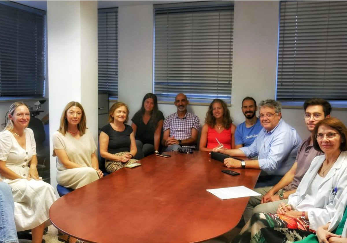 Comité interdisciplinar del sarcoma en el Virgen del Rocío de Sevilla