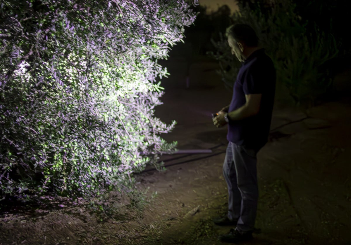 El agricultor arahalense Agustín Gamboa hace guardias nocturnas en sus tierras para evitar los robos