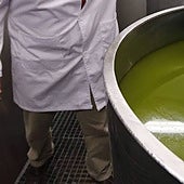 Crece el temor en el sector del aceite de oliva: «Las bodegas estarán prácticamente vacías hasta diciembre»