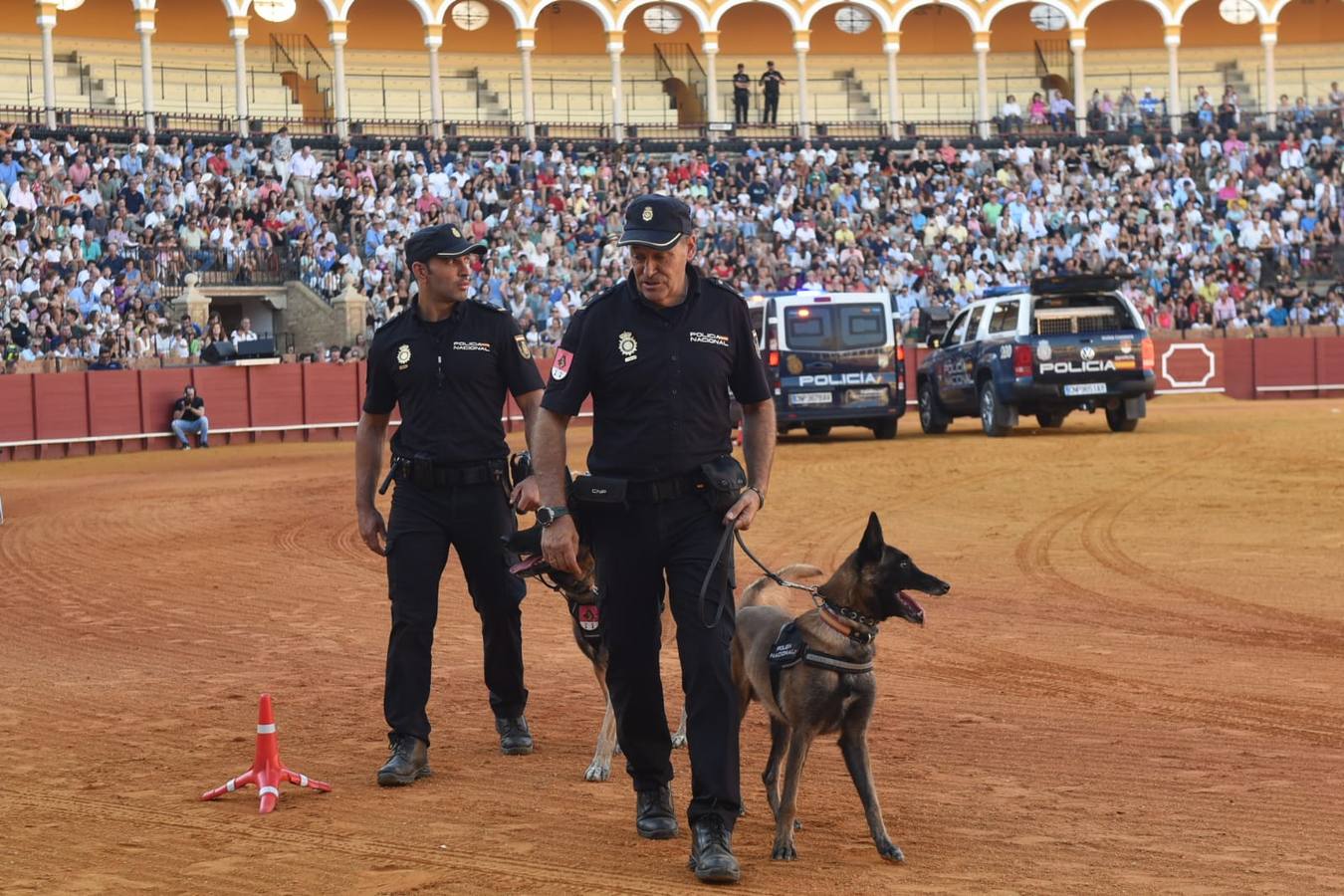 Un momento de la actuación de los agentes de la Policía Nacional en el ruedo de la Maestranza este lunes