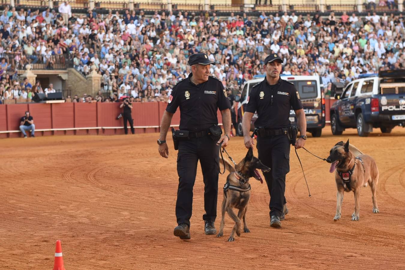 Un momento de la actuación de los agentes de la Policía Nacional en el ruedo de la Maestranza este lunes