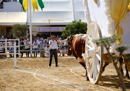 Una Pará en Gines 2024: cuándo empieza y qué actividades no te debes perder