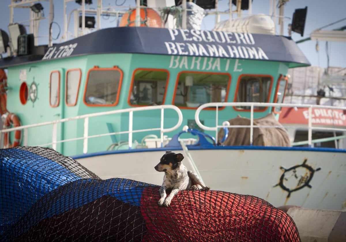 Un barco en el puerto