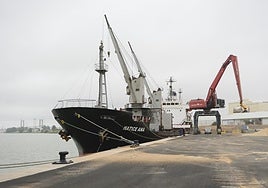 El Puerto de Sevilla estrena nueva terminal en la Dársena del Cuarto