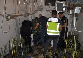 La Policía Nacional detiene a seis personas en Écija por cultivar marihuana en una nave industrial