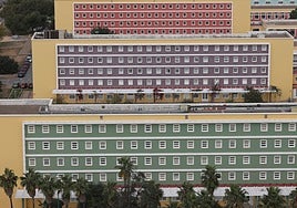 La Pablo de Olavide reconoce el talento de las mujeres con sus premios Roma 2024