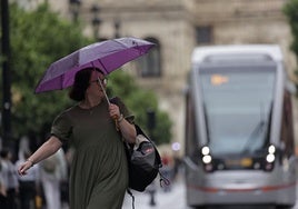 El subdelegado del Gobierno en Sevilla señala que las incidencias por la borrasca están siendo «menores»