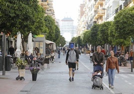 Vox plantea un 'gran hermano' de cámaras en Los Remedios para blindar la seguridad