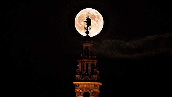 Así se vio la Luna del Cazador este jueves desde Sevilla