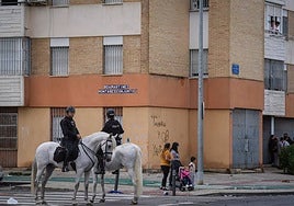 El consumo de electricidad disminuye un 40% en las Tres Mil Viviendas tras requisarse las plantas de marihuana