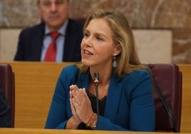 Vox confirma el cambio de estrategia en Sevilla y se abre a aprobar las ordenanzas fiscales
