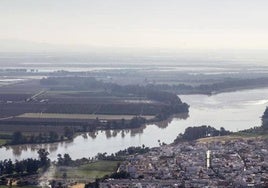 La Universidad de Sevilla descarta efectos ambientales significativos en los dragados del Guadalquivir