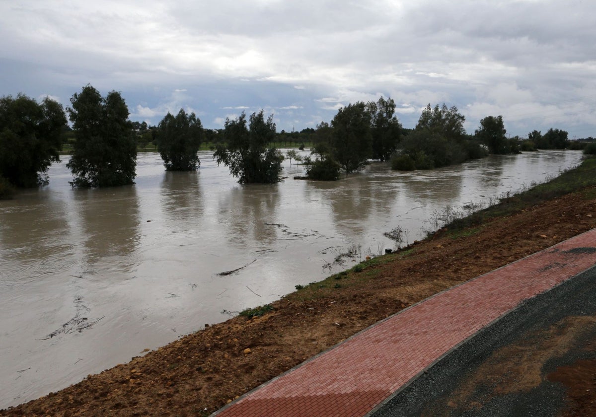 Una foto del río a su paso por Palmas Altas