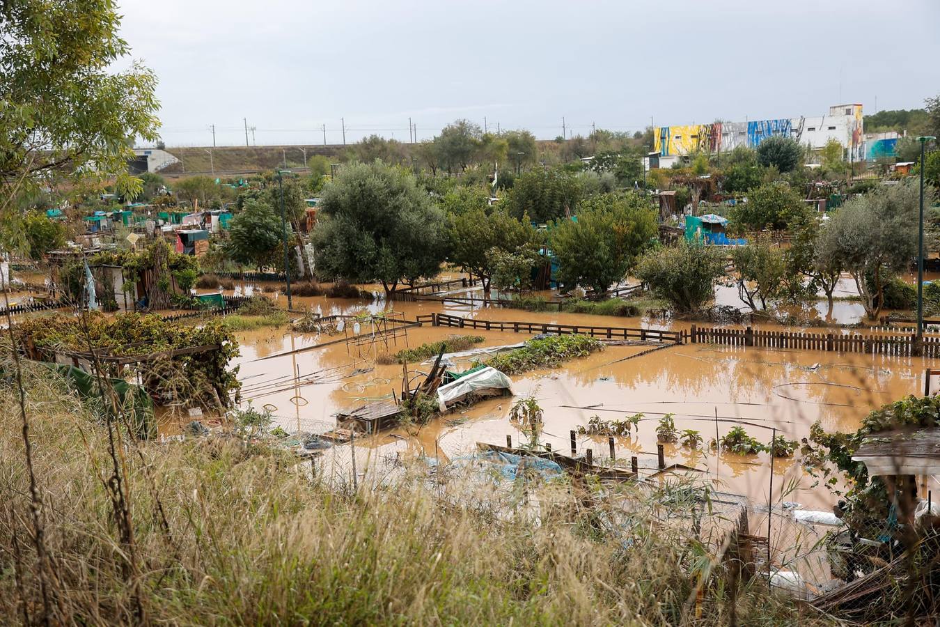 El agua ha obligado a cortar el tráfico en la zona durante varias horas