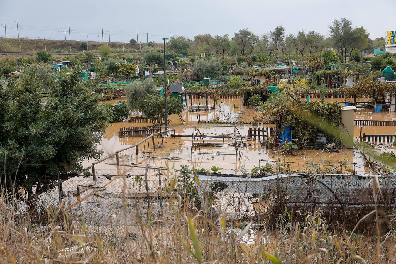 El agua ha obligado a cortar el tráfico en la zona durante varias horas