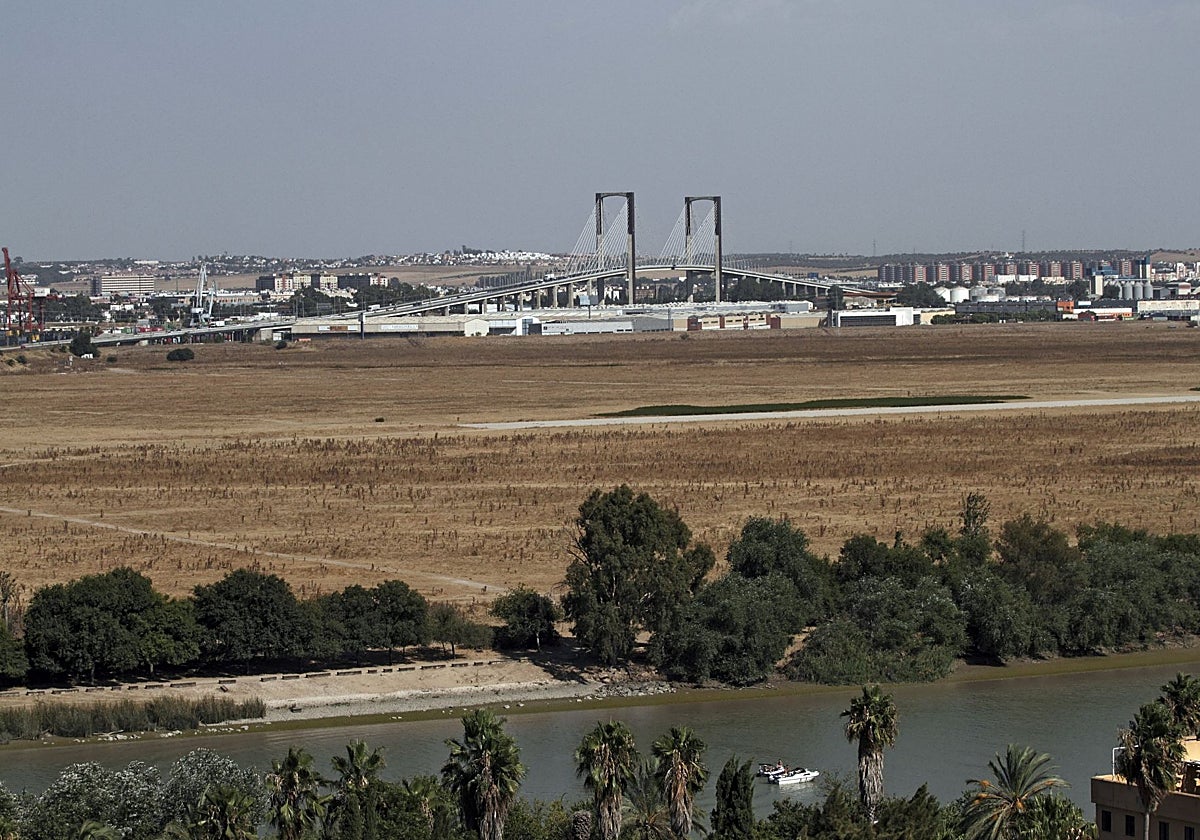Vista general de la dehesa de Tablada desde el municipio de San Juan de Aznalfarache