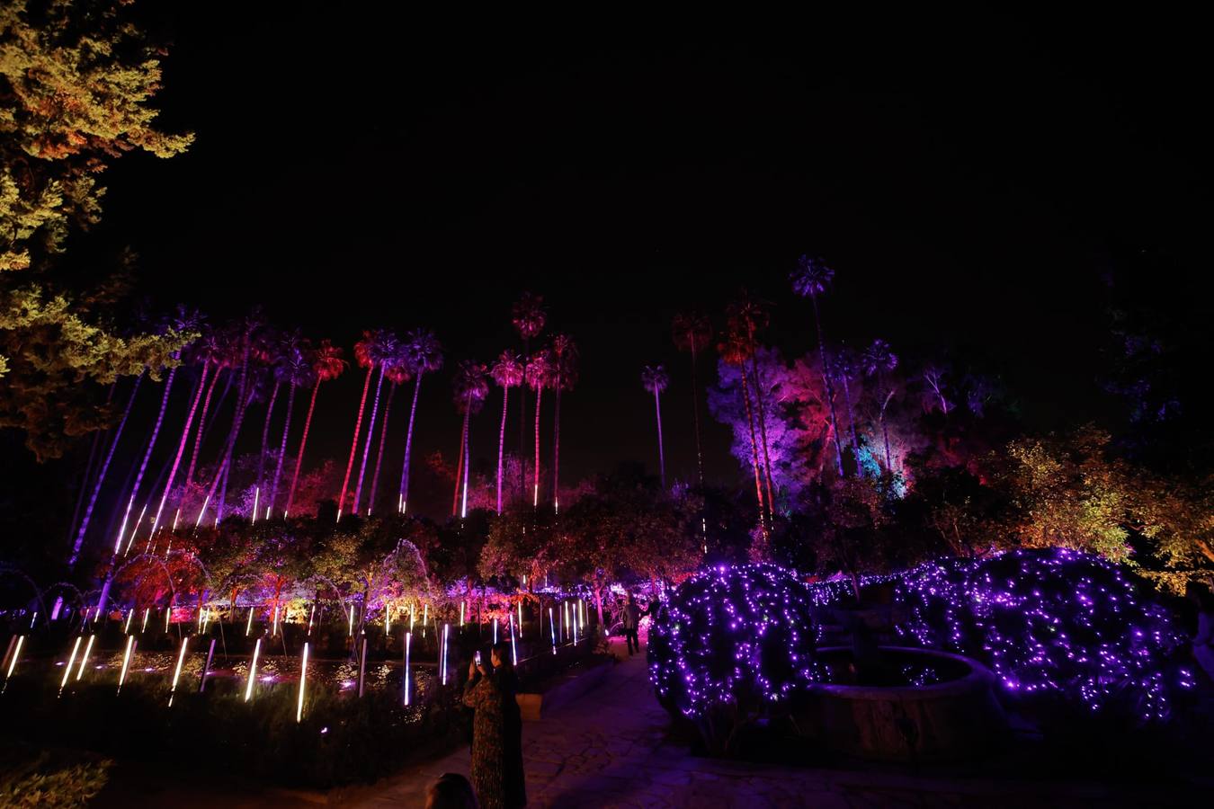 Espectáculo de Naturaleza Encendida en el Alcázar de Sevilla