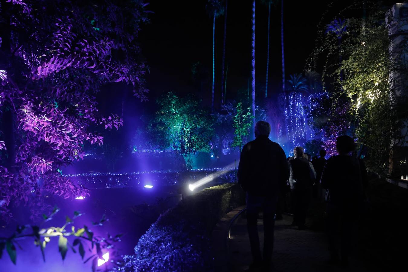 Espectáculo de Naturaleza Encendida en el Alcázar de Sevilla