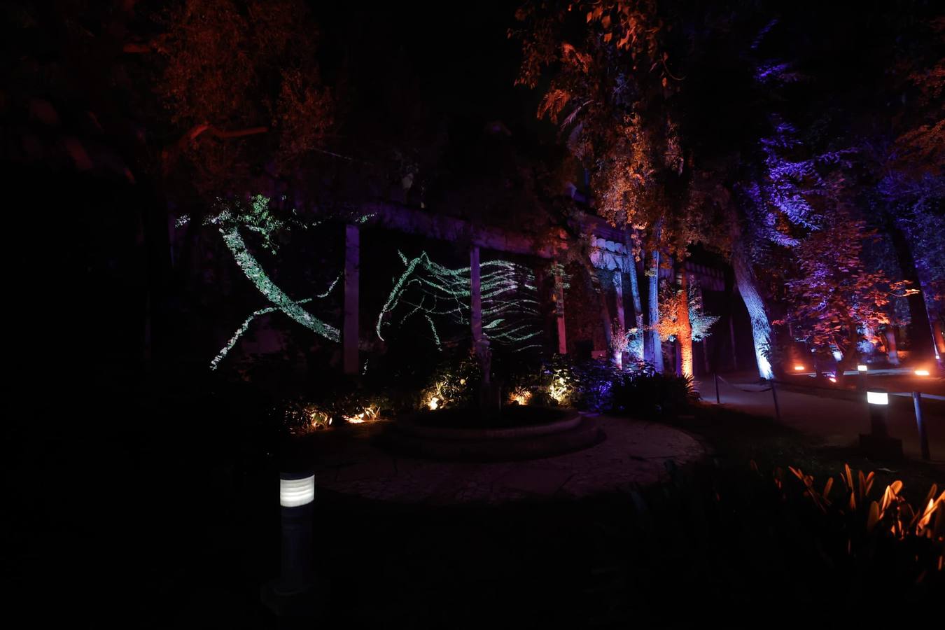 Espectáculo de Naturaleza Encendida en el Alcázar de Sevilla