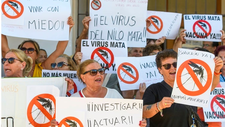 Salud pondrá fin de aquí a diez días la campaña del virus del Nilo tras cien casos y diez muertes