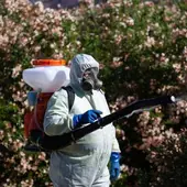 Imagen de archivo de un operario en labores de fumigación en Coria del Río