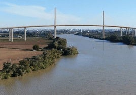 Hacienda tumba el encargo a Ineco del puente de la SE-40 en Sevilla