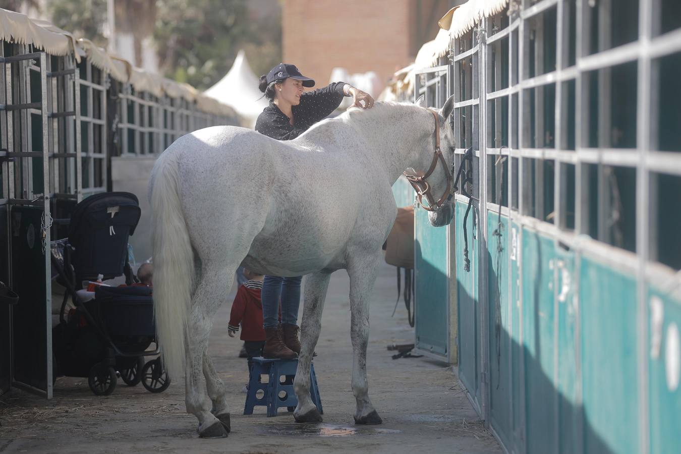 Durante la jornada previa se cuidan todos los detalles para que el Sicab 2024 sea un éxito